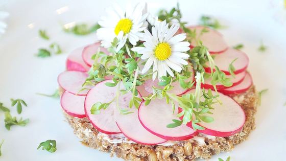 Tartine Curty's — radis, marguerites et pousses